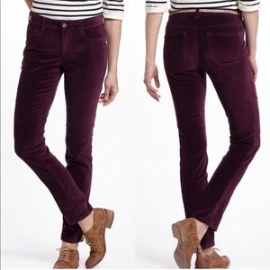 Anthropologie Pilcro purple velvet pants